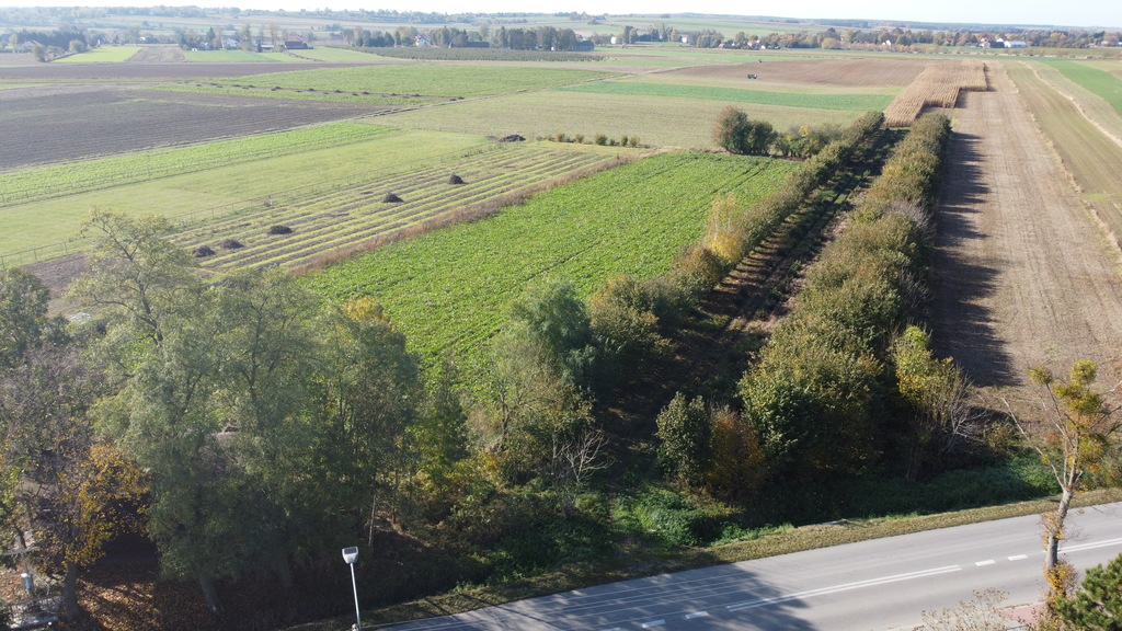 Zdjęcie 15