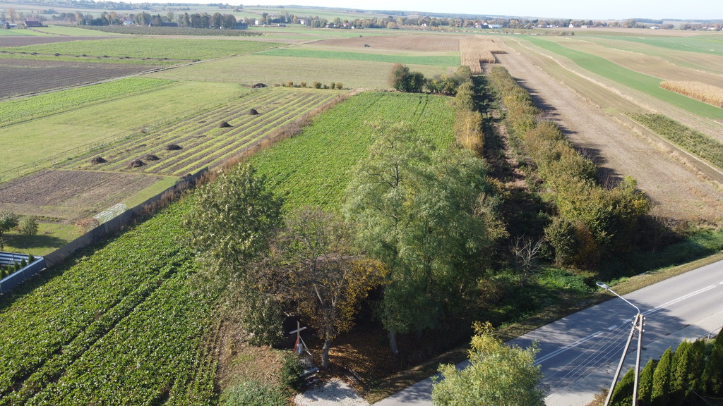 Zdjęcie 16