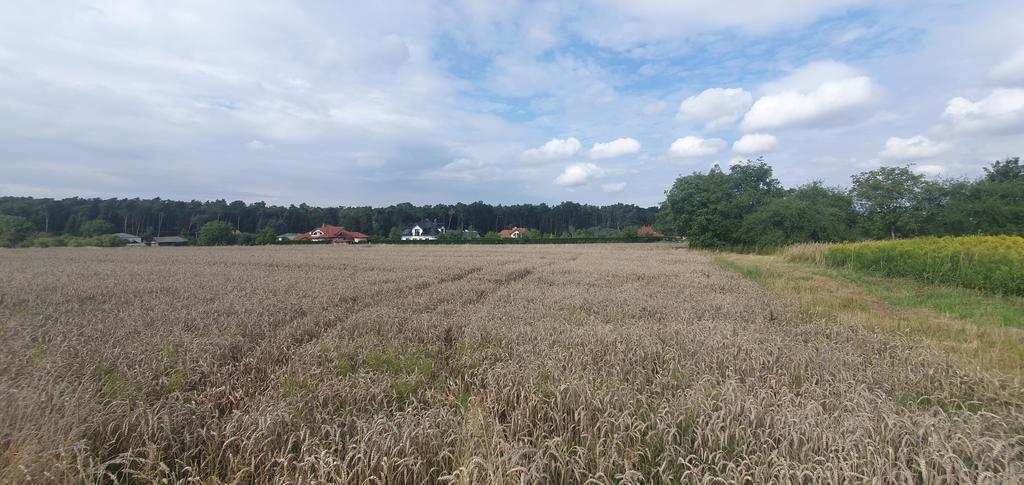 Piękna działka budowlana blisko lasu- 17ar-Świdnik