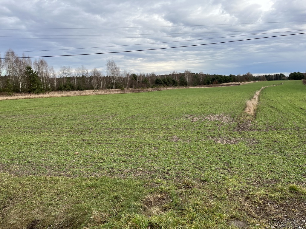 Zdjęcie 5