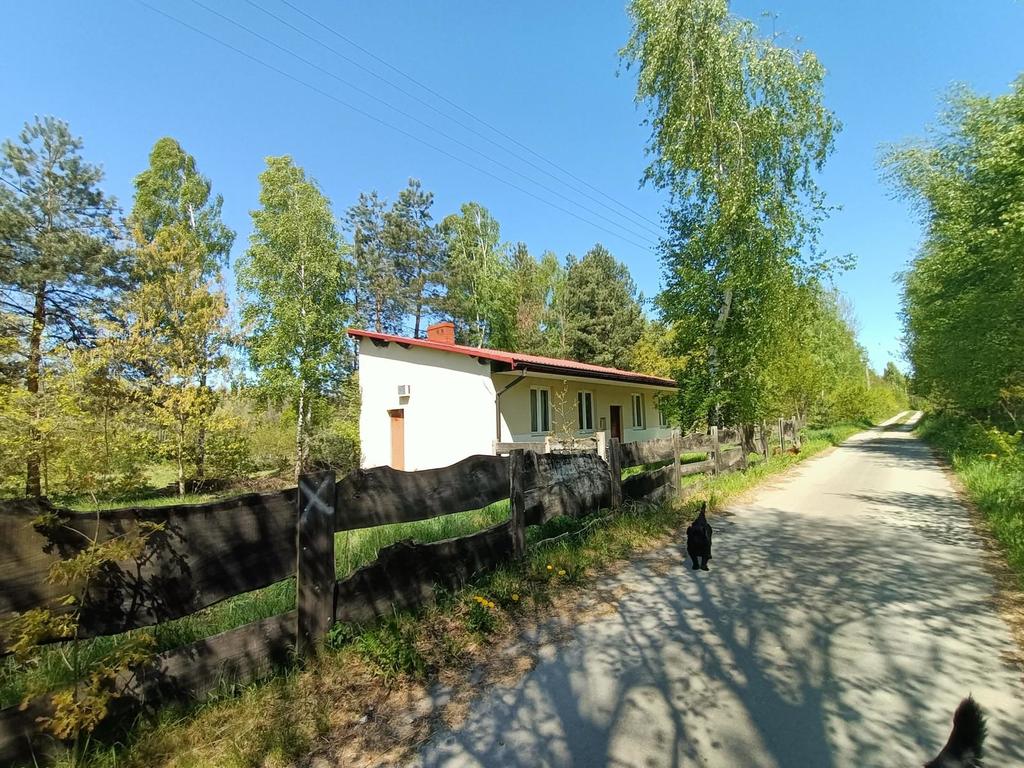 Działka z WZ 4883 m2 Gródek gm. Policzna/zwoleński