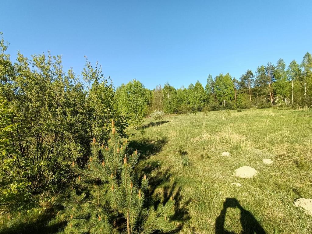 Zdjęcie 7