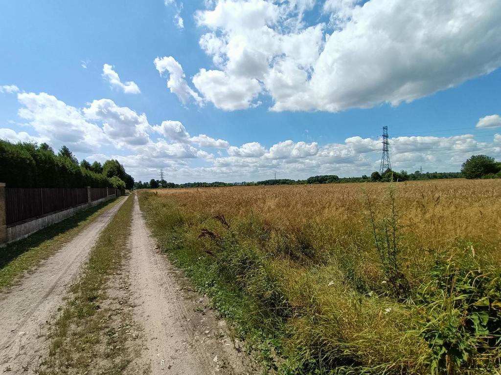 Zdjęcie 5