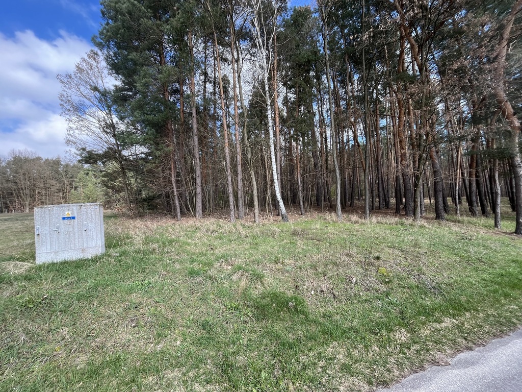Zdjęcie 2