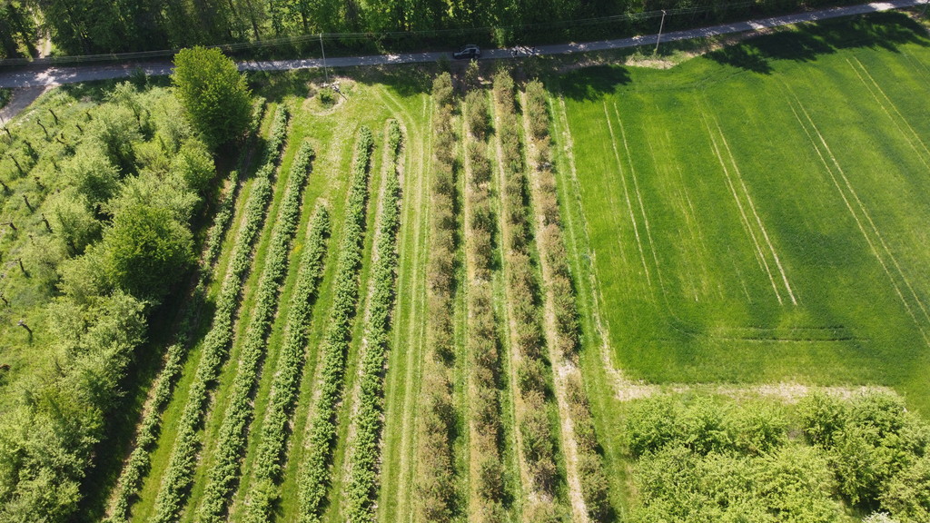 Działka budowlana 8 700 m², Kamień-Kolonia