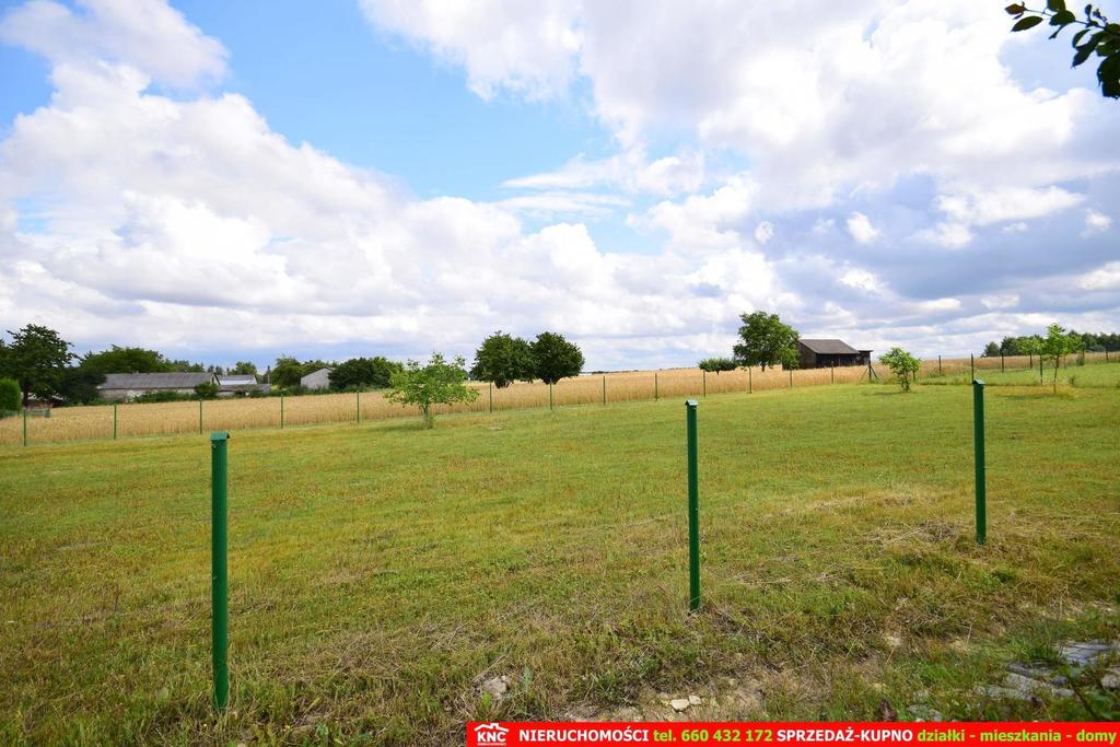 Zdjęcie 5