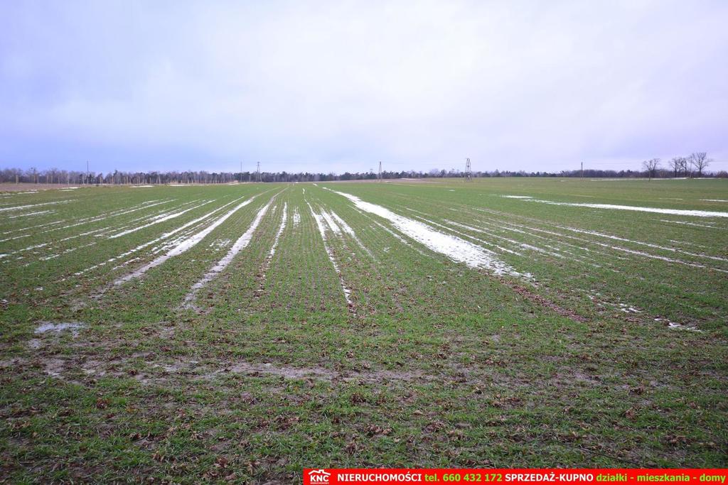 Wierciszów, działka budowlana MN, media.