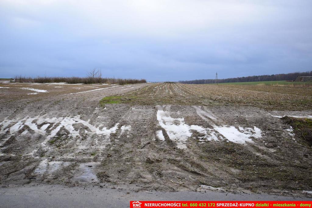 Zdjęcie 9