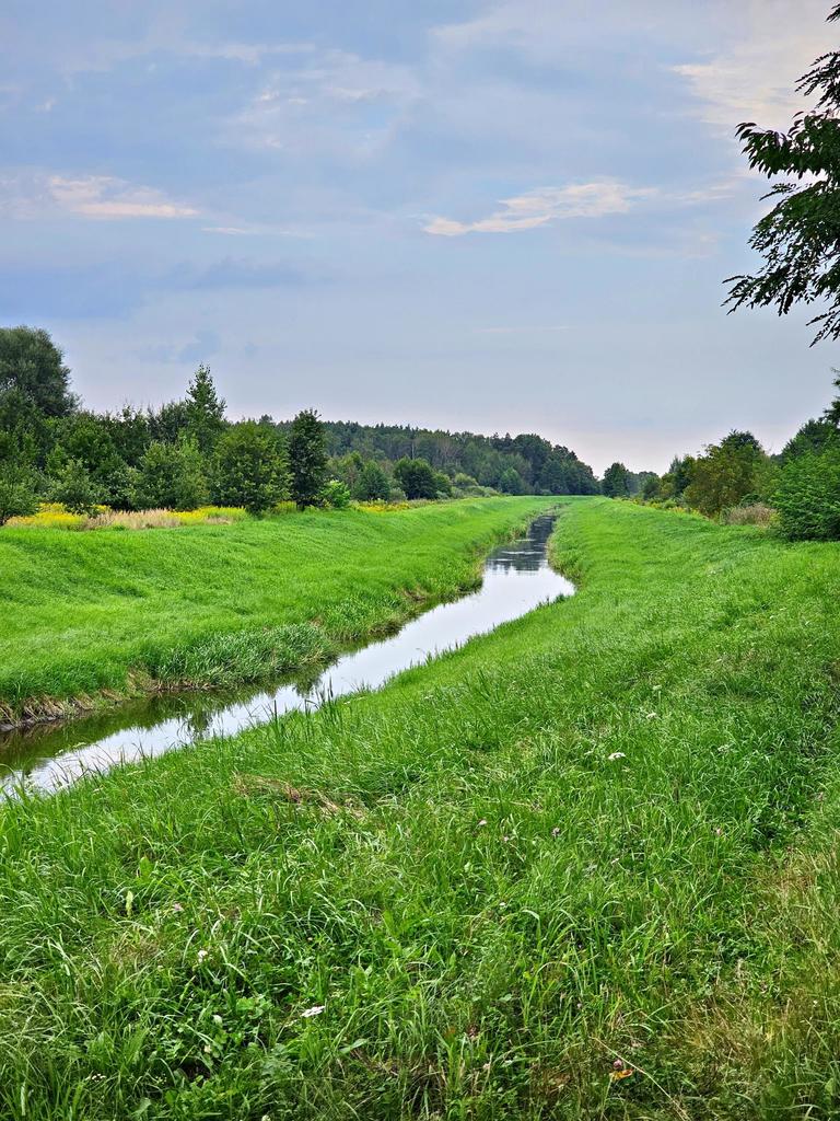 Działka rolna 2,11 ha, Dąbrowa