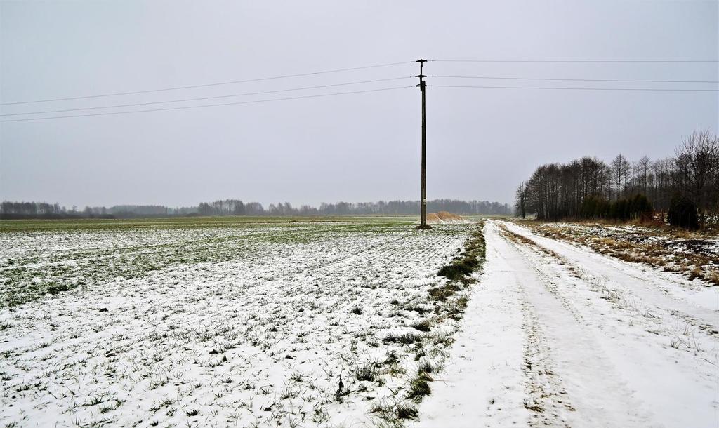Zdjęcie 3