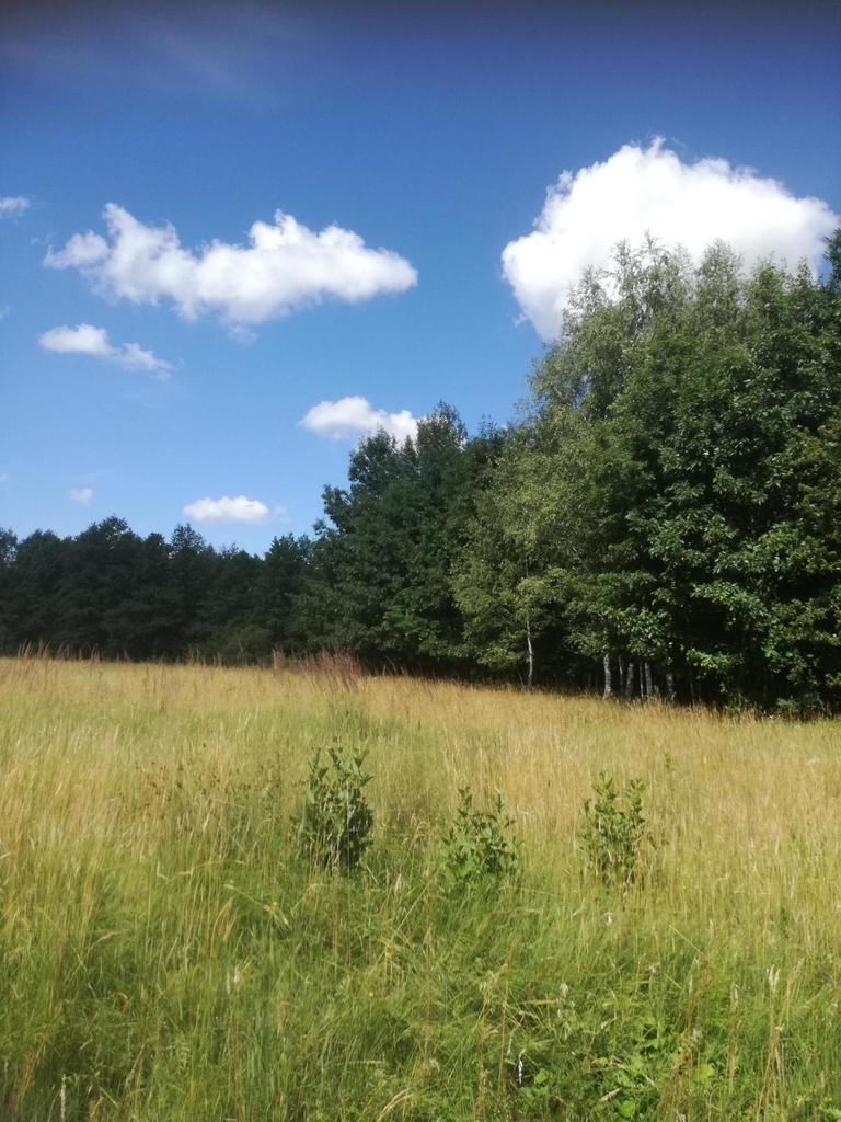 Kolonia Garbatówka, działka rolna, 3,18 ha!!