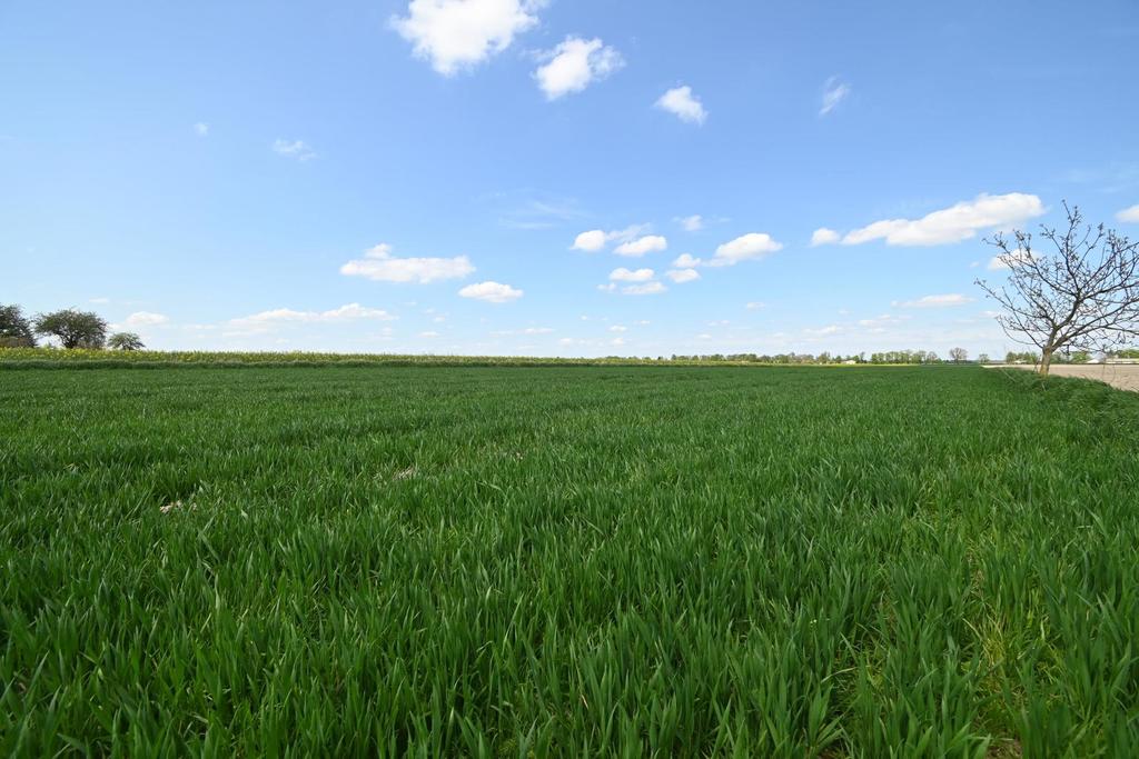 Działka budowlana 1 300 m², Podole