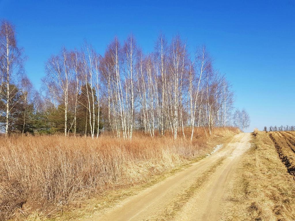 Zdjęcie 5