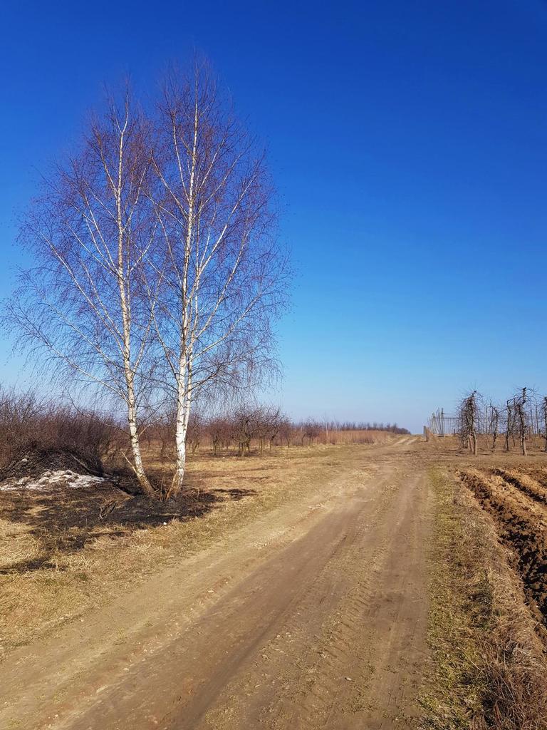 Zdjęcie 6