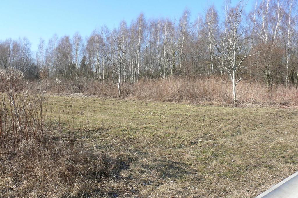 Działka budowlana 5 343 m², Nałęczów