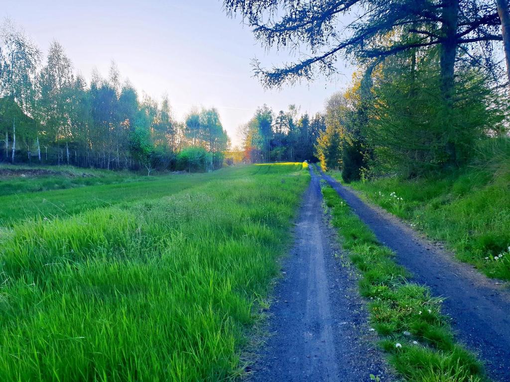 Działka budowlana 3 200 m², Zemborzyce Podleśne
