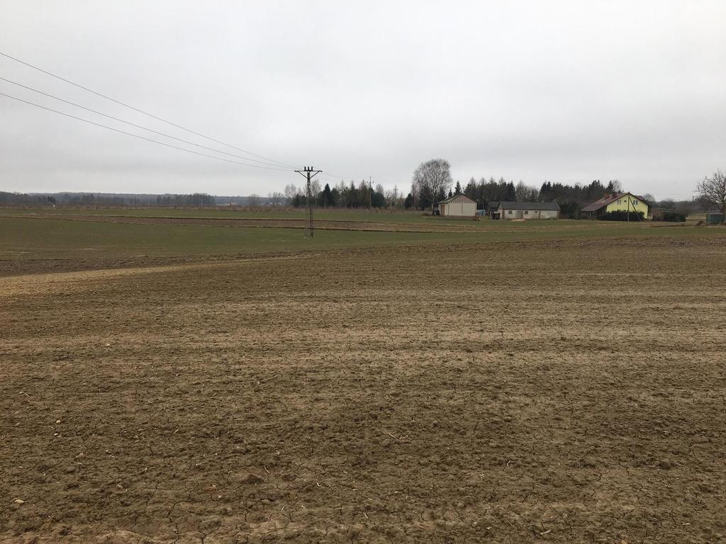 Działka rolna 3 000 m², Tomaszowice