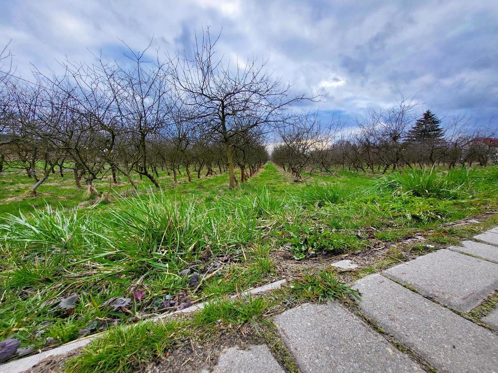 Działka budowlana 3 000 m², Motycz