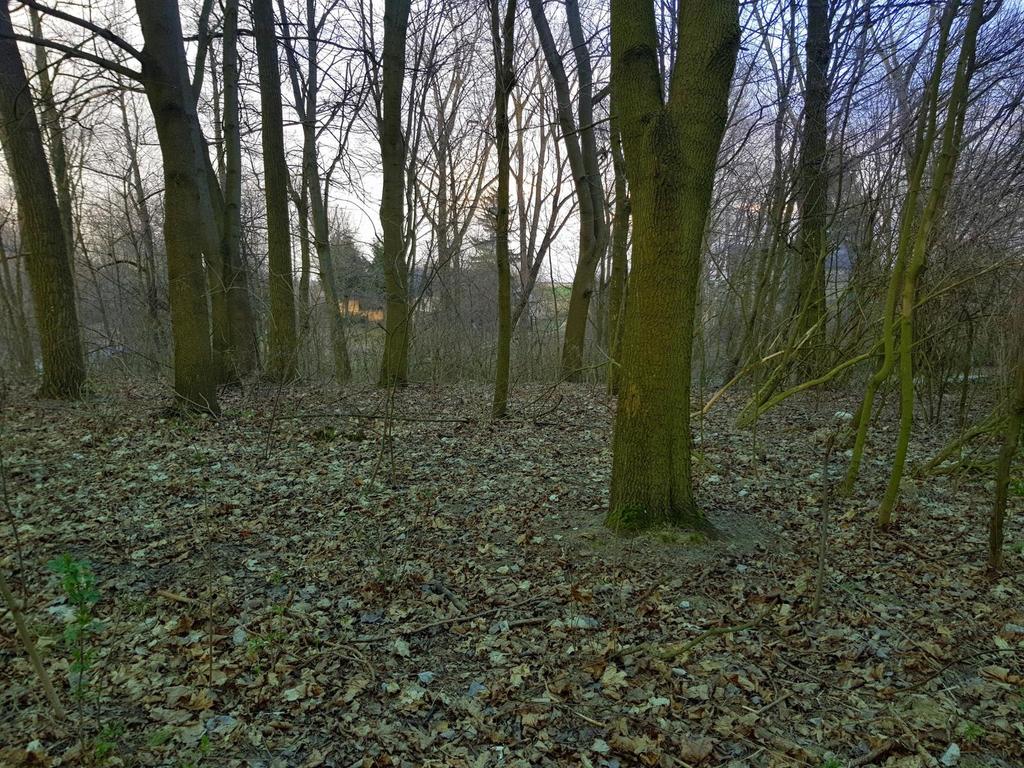 Działka budowlana 3 300 m², Kocianów