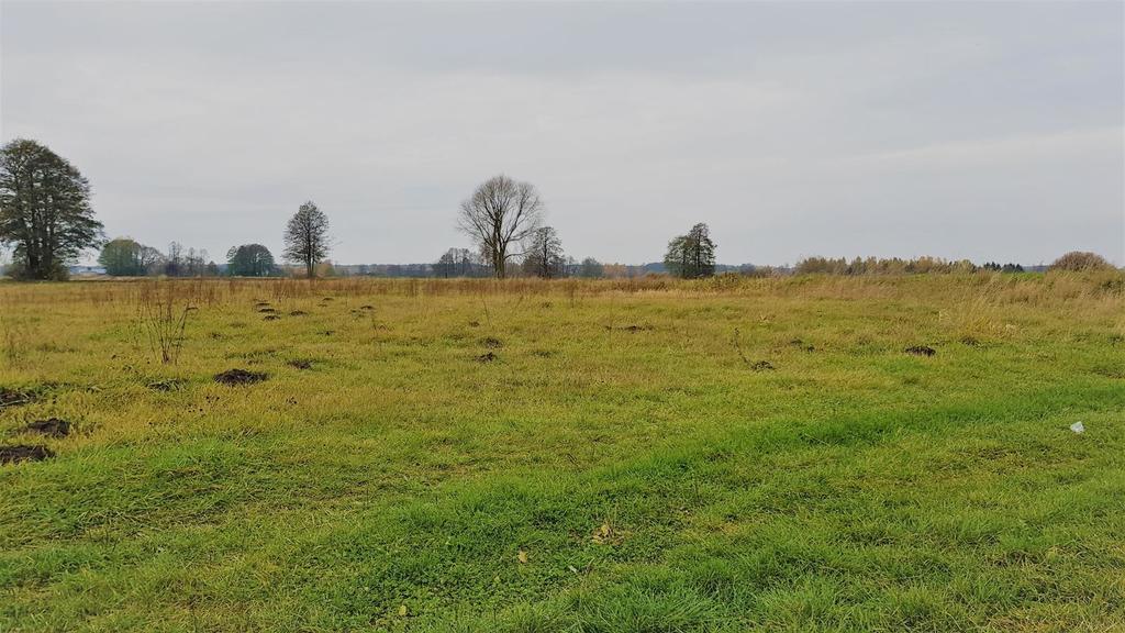 Działka rolna 1 330 m², Samoklęski-Kolonia Pierwsza