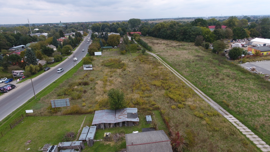 Zdjęcie 11