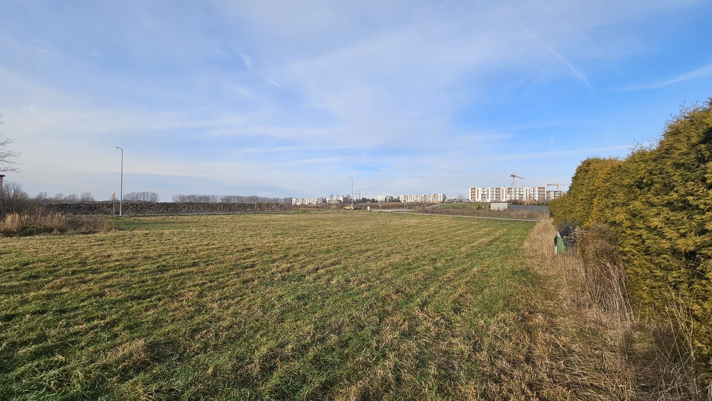 Zdjęcie 13