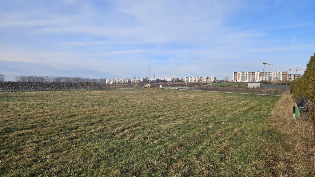 Zdjęcie 14