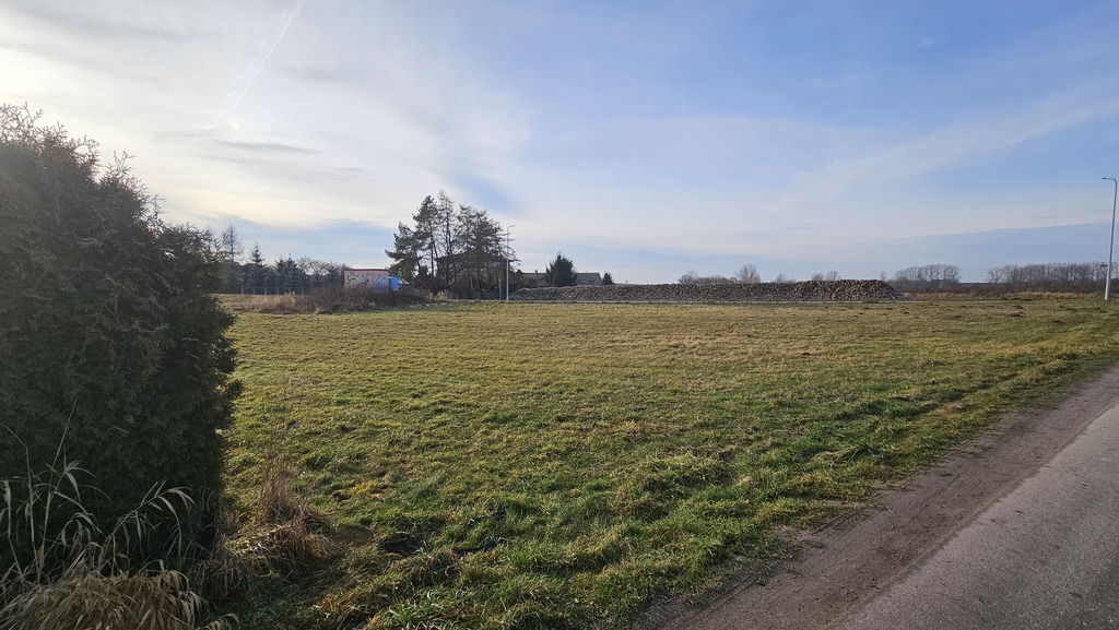 Zdjęcie 15