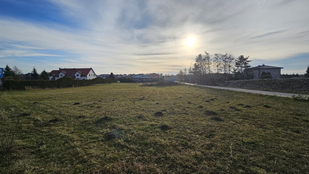 Zdjęcie 16