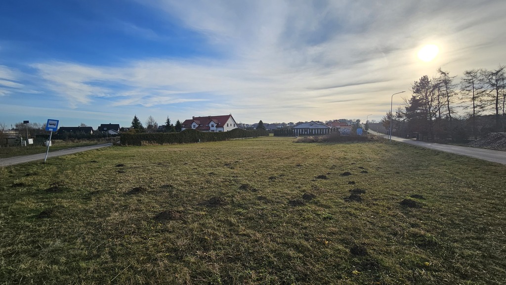 Zdjęcie 18