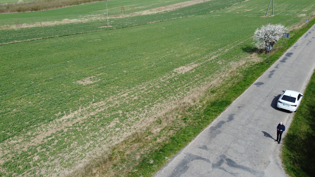Zdjęcie 5