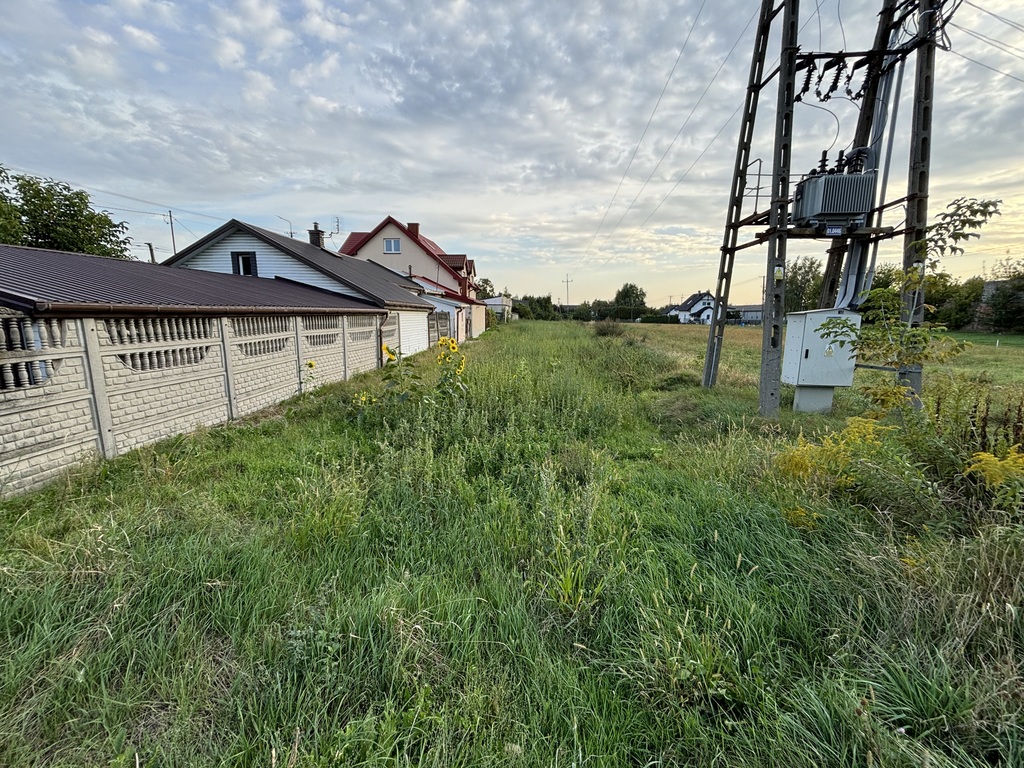 Zdjęcie 6