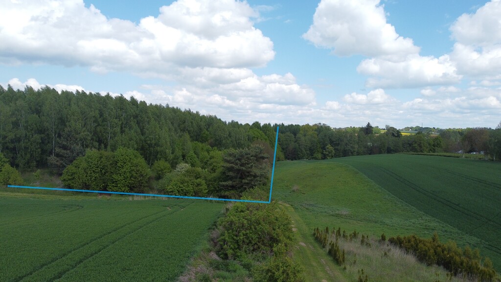 Działka 2,15 ha z potencjałem koło Nałęczowa.