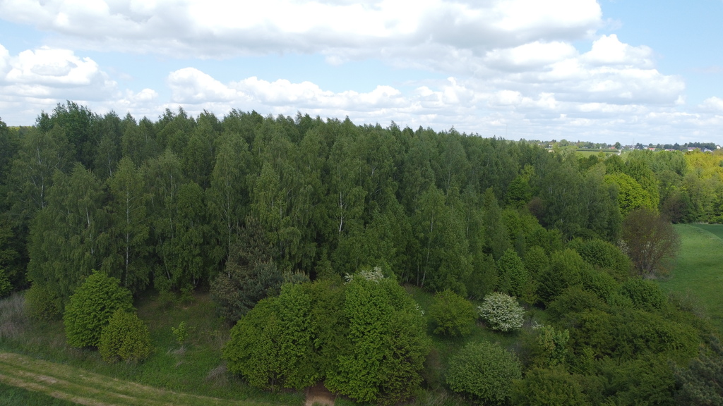 Zdjęcie 9