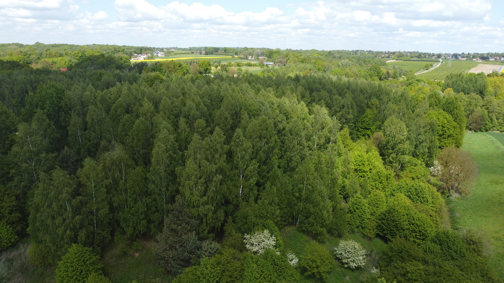 Zdjęcie 10