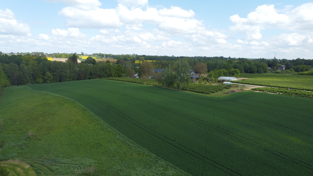 Zdjęcie 12