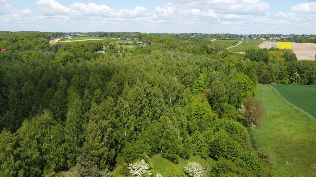 Zdjęcie 15