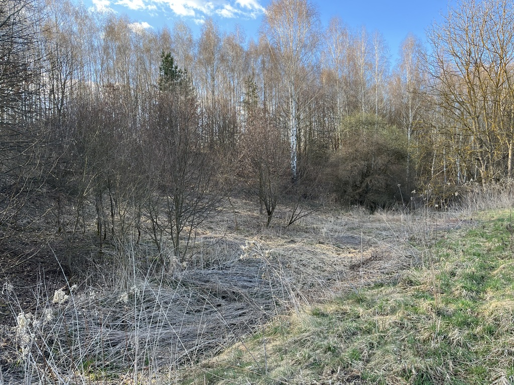 Zdjęcie 20