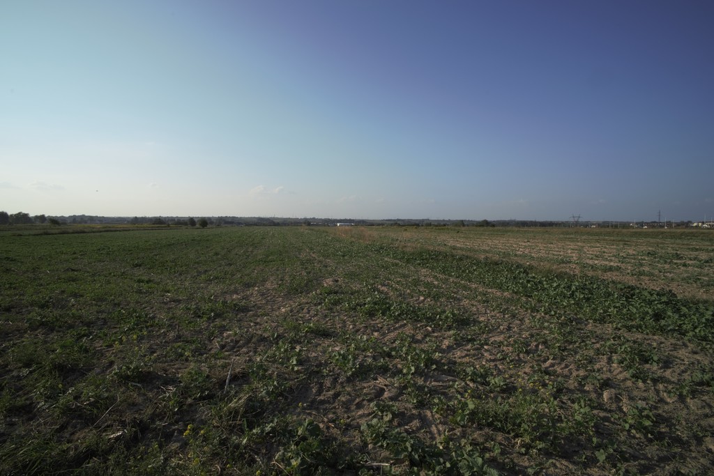 Działka budowlana i inwestycyjna 9 421 m², Długie