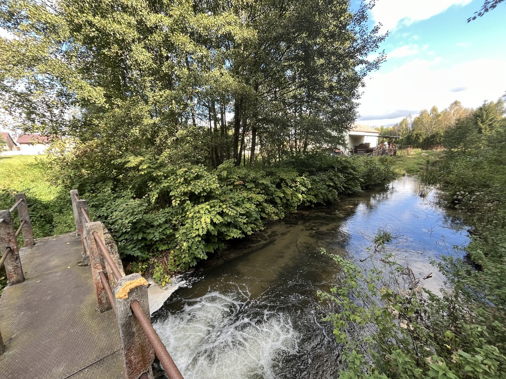 Zdjęcie 2