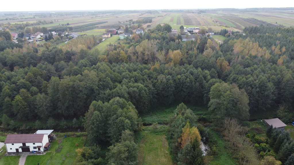 Zdjęcie 10
