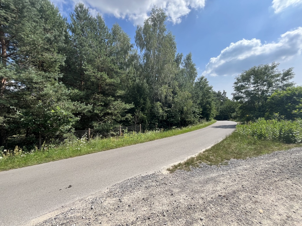 Zdjęcie 10