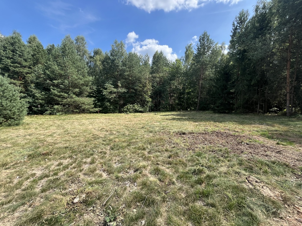 Zdjęcie 12