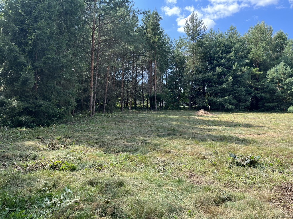 Zdjęcie 13