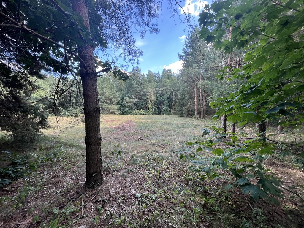 Zdjęcie 14