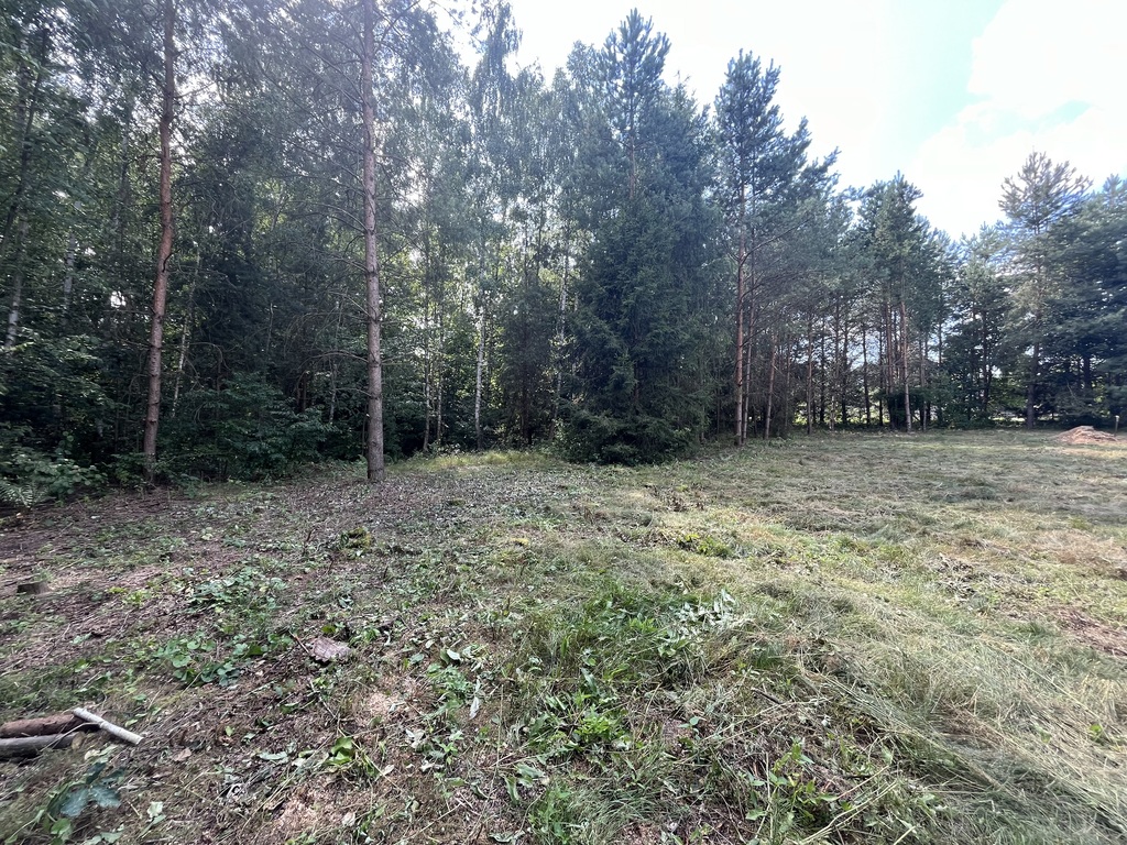 Zdjęcie 16