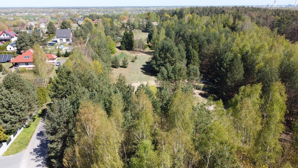 Zdjęcie 20
