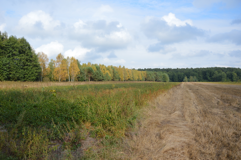 Działka, Klarów, 1,09 ha