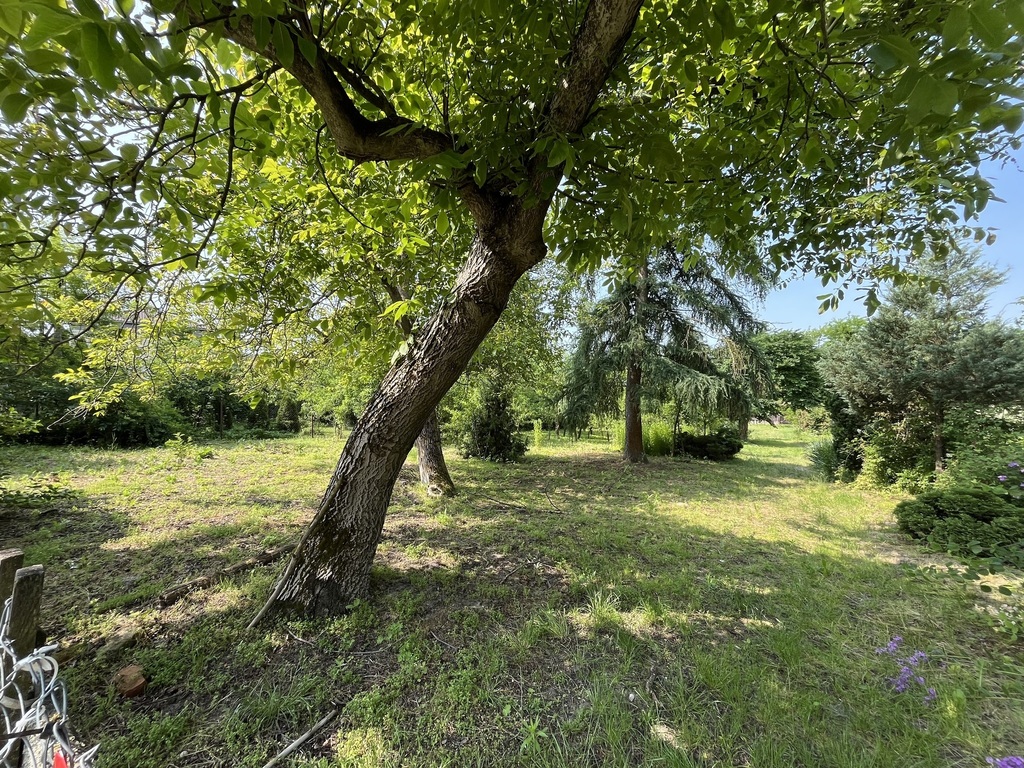 Zdjęcie 7