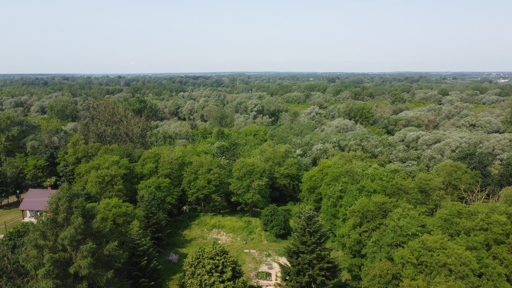 Zdjęcie 10